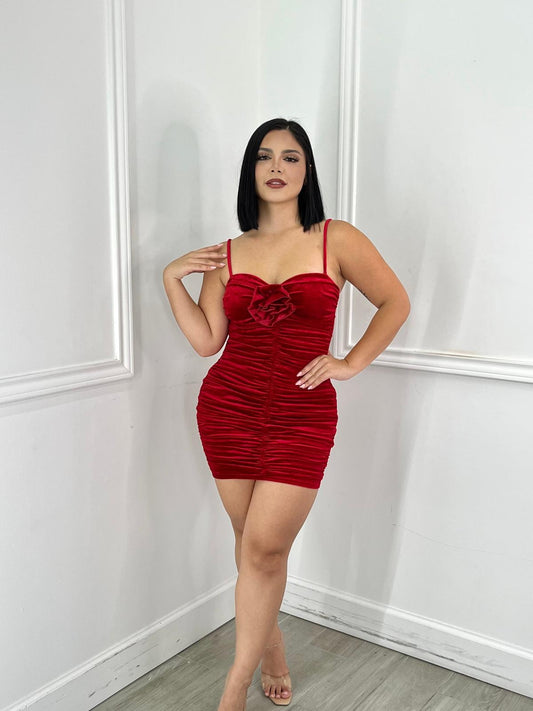 Red Velvet Dress